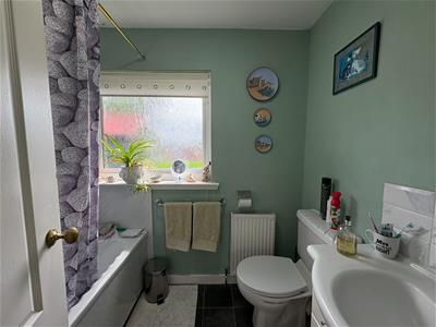 Picture 14